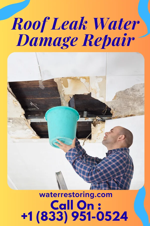 Roof Leak Water Damage Repair in Pearl River, LA