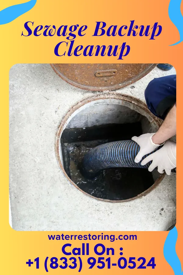Sewage Backup Cleanup in Pearl River, LA